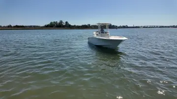 Thumbnail von Boston Whaler 250 Dauntless