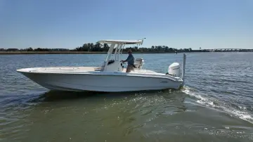 Thumbnail von Boston Whaler 250 Dauntless