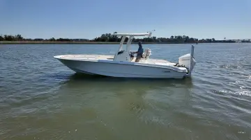 Thumbnail von Boston Whaler 250 Dauntless