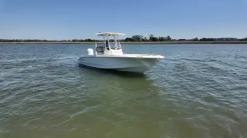 Thumbnail von Boston Whaler 250 Dauntless