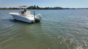 Thumbnail von Boston Whaler 250 Dauntless