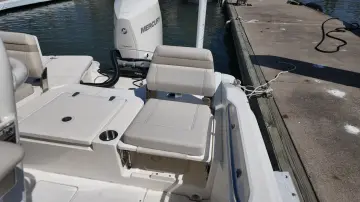 Thumbnail von Boston Whaler 250 Dauntless