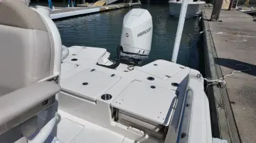 Thumbnail von Boston Whaler 250 Dauntless