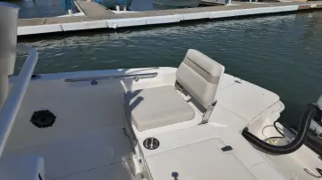 Thumbnail von Boston Whaler 250 Dauntless
