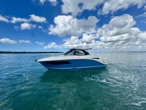 Thumbnail von Sea Ray 320 Sundancer Outboard