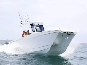Thumbnail von World Cat 280CC-X