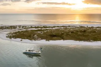 Thumbnail von Boston Whaler 380 Realm