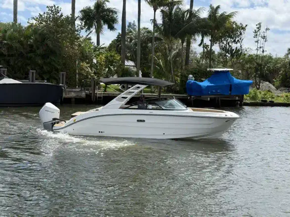 Sea Ray SDX 250 Outboard