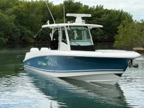 Thumbnail von Boston Whaler 350 Outrage
