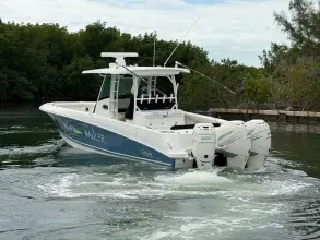 Thumbnail von Boston Whaler 350 Outrage