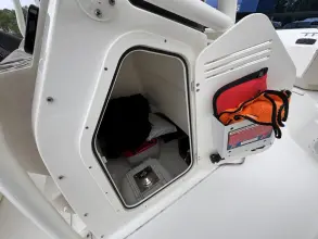 Thumbnail von Boston Whaler 210 Montauk