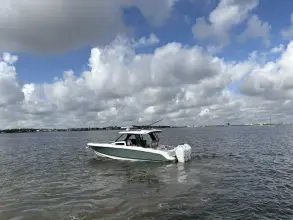 Thumbnail von Boston Whaler 350 Realm