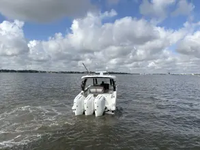 Thumbnail von Boston Whaler 350 Realm