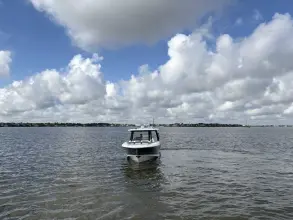 Thumbnail von Boston Whaler 350 Realm