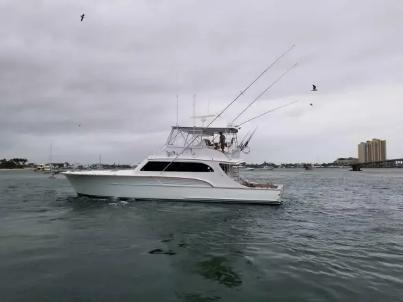 Buddy Davis 61 Sportfish Salty Bonz