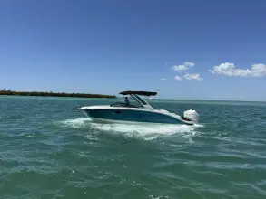 Sea Ray SDX 290 Outboard