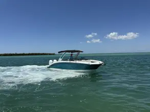 Thumbnail von Sea Ray SDX 290 Außenborder