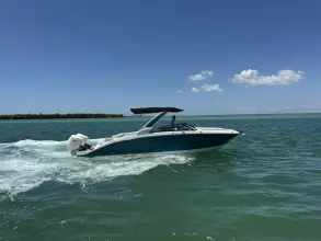 Thumbnail von Sea Ray SDX 290 Außenborder