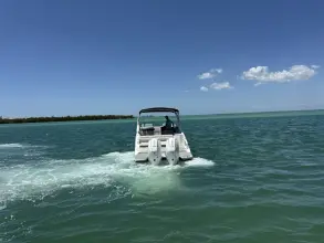 Thumbnail von Sea Ray SDX 290 Außenborder