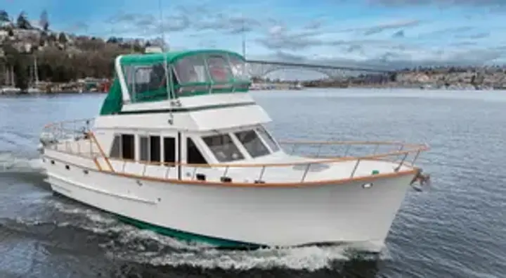 Ocean Alexander 43'