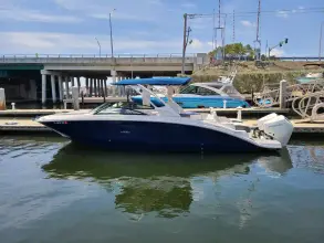 Thumbnail von Sea Ray SDX 290 Dıştan Takma
