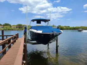 Thumbnail von Sea Ray SDX 290 Dıştan Takma
