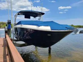 Thumbnail von Sea Ray SDX 290 Dıştan Takma