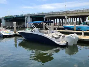 Thumbnail von Sea Ray SDX 290 Dıştan Takma