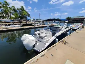 Thumbnail von Sea Ray SDX 290 Dıştan Takma