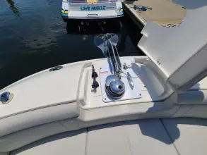 Thumbnail von Sea Ray SDX 290 Dıştan Takma