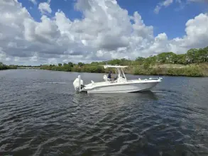 Boston Whaler 250 Dauntless