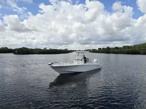 Thumbnail von Boston Whaler 250 Dauntless