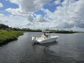 Thumbnail von Boston Whaler 250 Dauntless