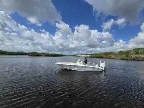 Thumbnail von Boston Whaler 250 Dauntless