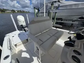 Thumbnail von Boston Whaler 250 Dauntless