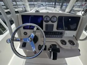 Thumbnail von Boston Whaler 250 Dauntless