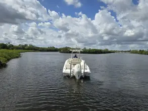 Thumbnail von Boston Whaler 250 Dauntless