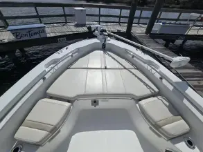 Thumbnail von Boston Whaler 250 Dauntless