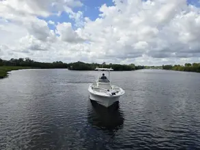 Thumbnail von Boston Whaler 250 Dauntless