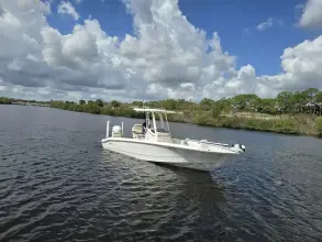 Thumbnail von Boston Whaler 250 Dauntless