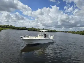 Thumbnail von Boston Whaler 250 Dauntless