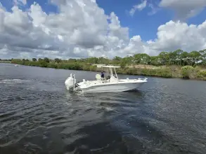 Thumbnail von Boston Whaler 250 Dauntless