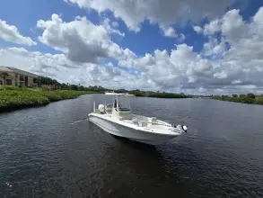 Thumbnail von Boston Whaler 250 Dauntless