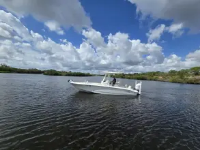Thumbnail von Boston Whaler 250 Dauntless