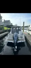 Thumbnail von Cutwater Boats C-24 DC Marlen