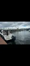Thumbnail von Cutwater Boats C-24 DC Marlen
