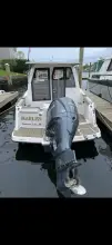 Thumbnail von Cutwater Boats C-24 DC Marlen
