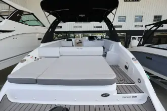 Thumbnail von Sea Ray SDX 250 Außenborder