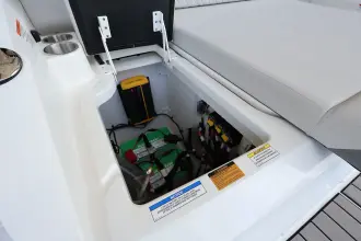 Thumbnail von Sea Ray SDX 250 Außenborder