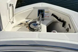 Thumbnail von Boston Whaler 330R